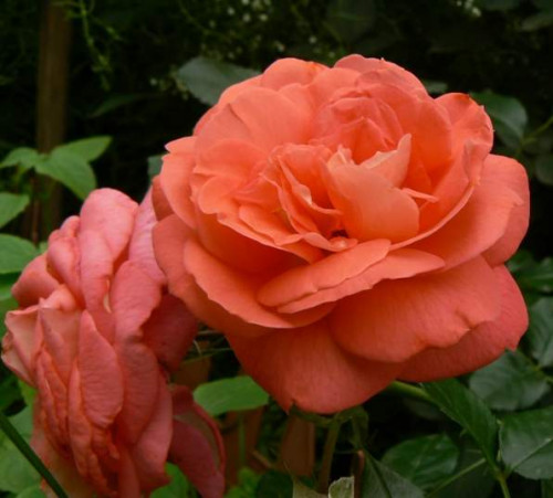 P1200151a796b5922b4bc585.jpg
