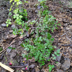 IMG_20191109_125819_1fa58407fb00262af