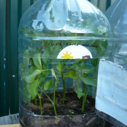 P1410845--KOPIY5ab8b3d4de0ede17