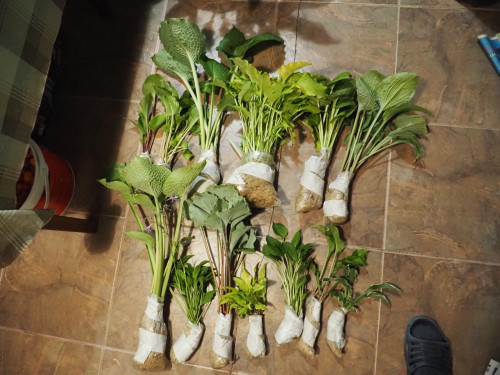 P80701755c8da38eb4de1ec5.jpg