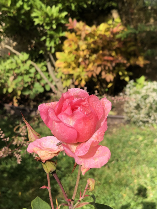 22217A5C-7E55-4233-966C-B6233BFC8B4D3aaab47f813cbeed.jpg