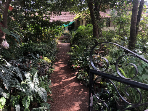 частный дом и питомник растений при частном саде в Маргао