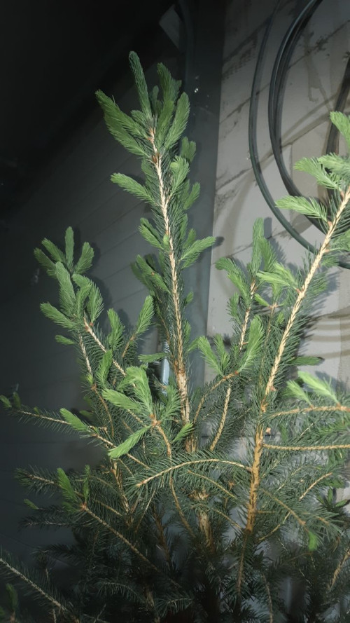 29bb0e09ce15700cf.jpg