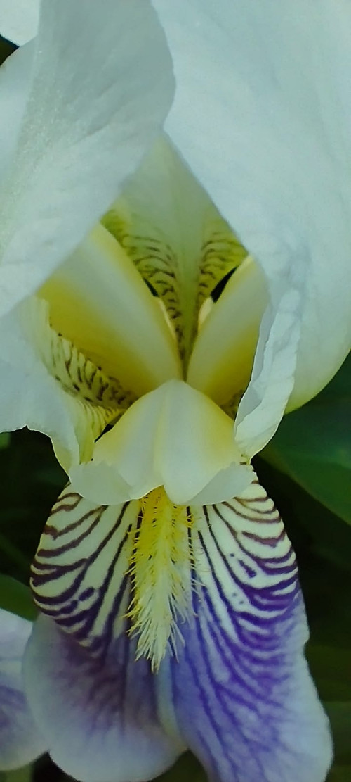 IMG 20230617 WA0009