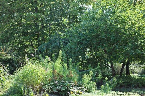 scale_120086ef162d47c3beed.jpg